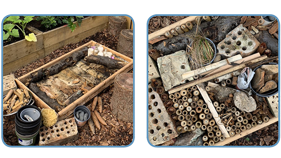 A thumbnail image of the Make a Bug Hotel Activity Pack on the Peter Rabbit website