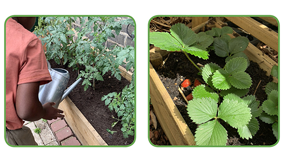 A thumbnail image of the Mr. McGregor's Vegetable Patch Activity Pack on the Peter Rabbit website