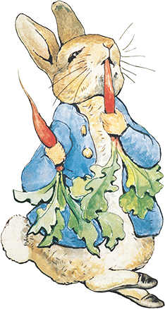 An image of Peter Rabbit