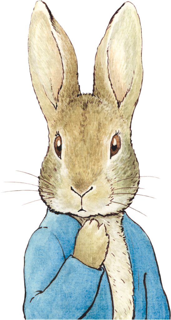 A large image of Peter Rabbit adjacent to the email newsletter signup element