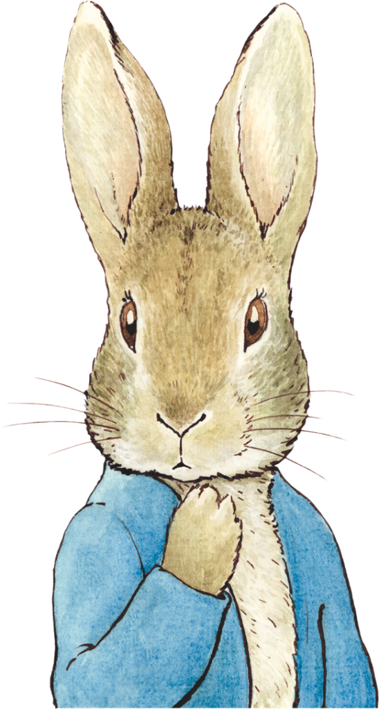 A large image of Peter Rabbit adjacent to the email newsletter signup element